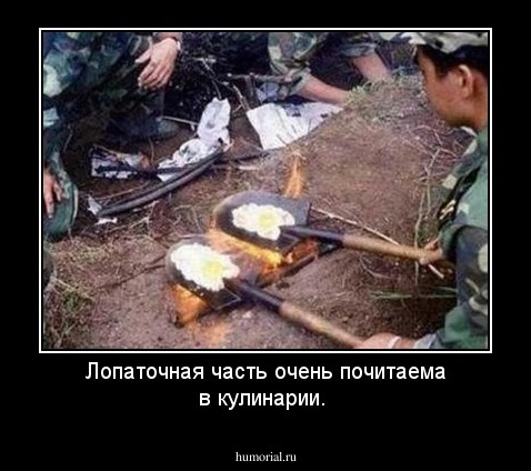 Лопаточная часть очень почитаема в кулинарии.