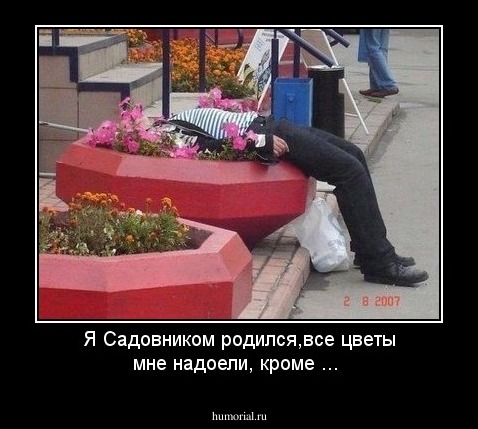 Я Садовником родился,все цветы мне надоели, кроме ...