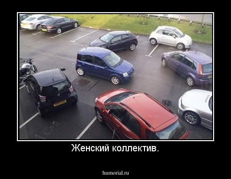 Женский коллектив.