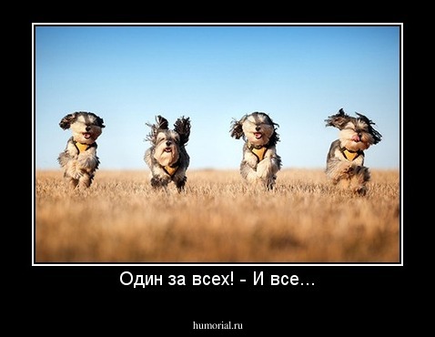 Один за всех! - И все...