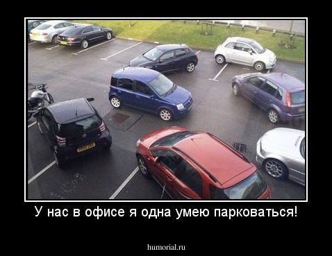 У нас в офисе я одна умею парковаться!