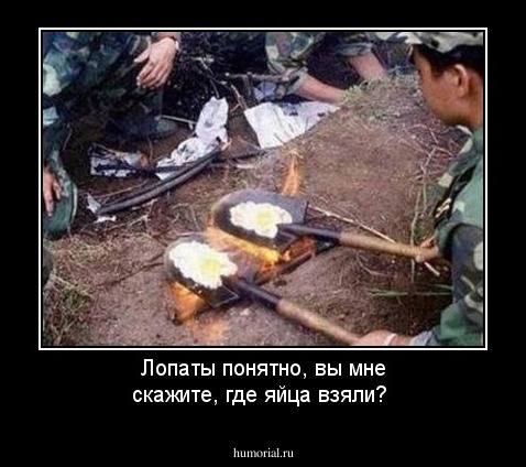 Лопаты понятно, вы мне скажите, где яйца взяли?