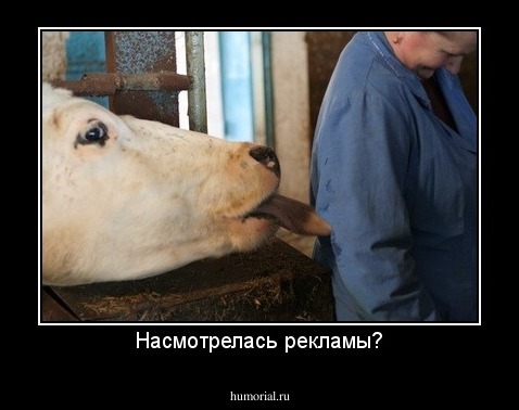 Насмотрелась рекламы?