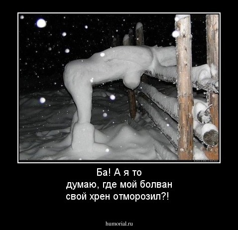 Ба! А я то думаю, где мой болван свой хрен отморозил?!