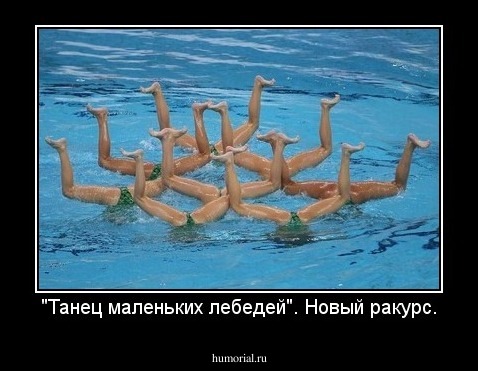 "Танец маленьких лебедей". Новый ракурс.
