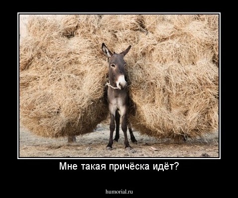 Мне такая причёска идёт?
