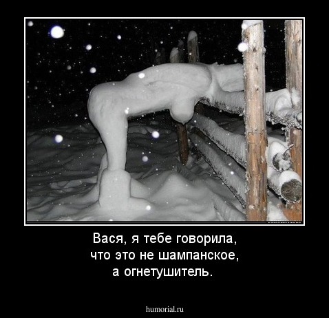 Вася, я тебе говорила, что это не шампанское, а огнетушитель.