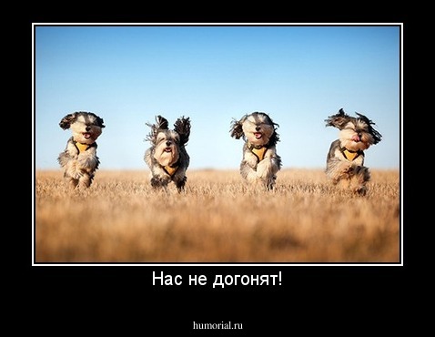Нас не догонят!