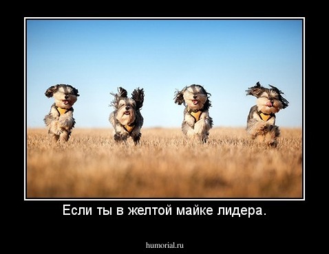 Если ты в желтой майке лидера.