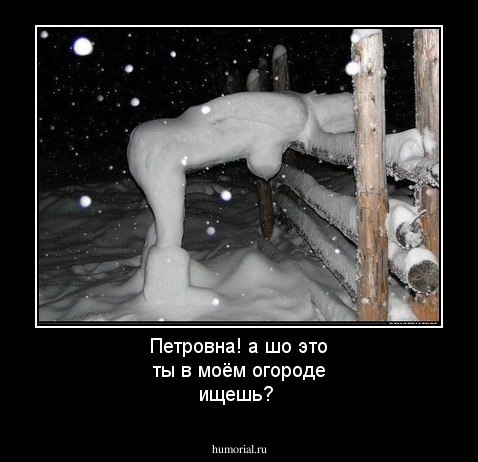 Петровна! a шо это ты в моём огороде ищешь?