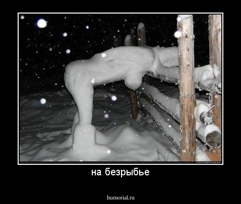 на безрыбье