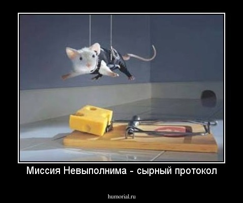 Миссия Невыполнима - сырный протокол