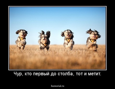 Чур, кто первый до столба, тот и метит.