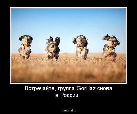 Встречайте, группа Gorillaz снова в России.