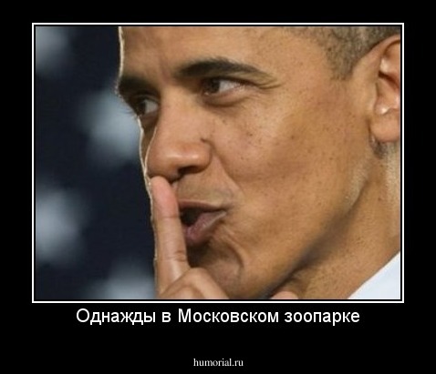 Однажды в Московском зоопарке