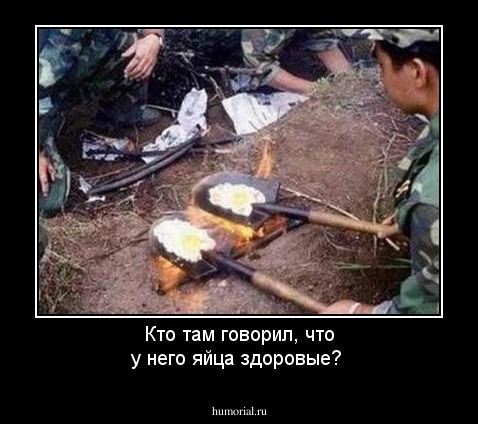 Кто там говорил, что у него яйца здоровые?