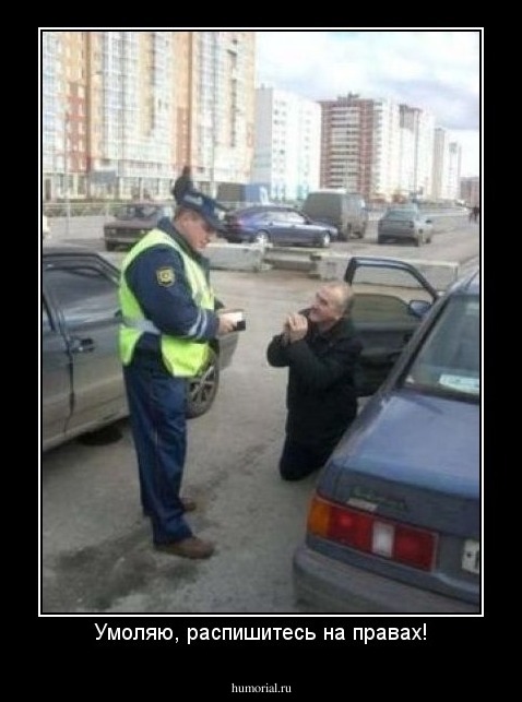 Умоляю, распишитесь на правах!