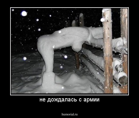 не дождалась с армии