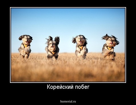 Корейский побег
