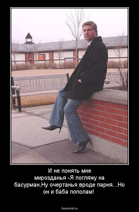 И не понять мне мирозданья -Я погляжу на басурман,Ну очертанья вроде парня...Но он и баба попoлам!