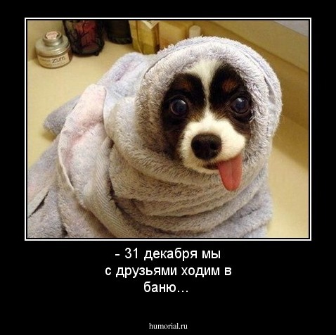 - 31 декабря мы с друзьями ходим в баню...