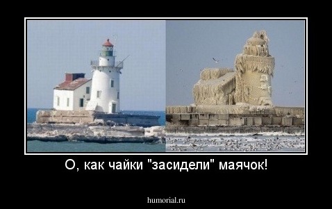 О, как чайки "засидели" маячок!