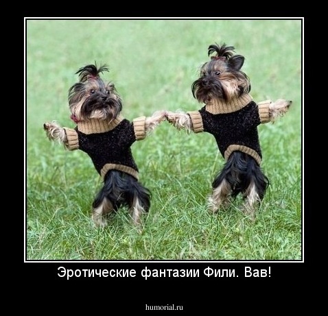 Эротические фантазии Фили. Вав!