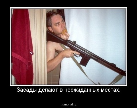 Засады делают в неожиданных местах.