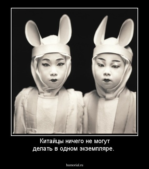 Китайцы ничего не могут делать в одном экземпляре.
