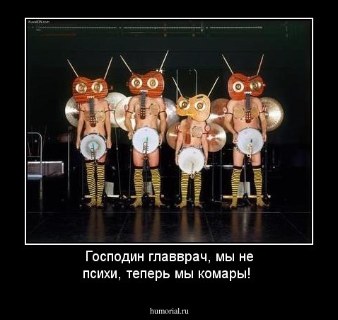 Господин главврач, мы не психи, теперь мы комары!