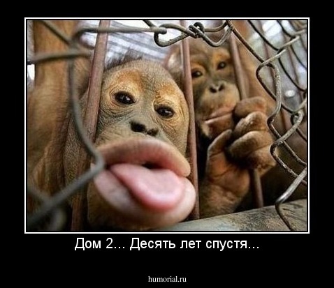 Дом 2... Десять лет спустя...