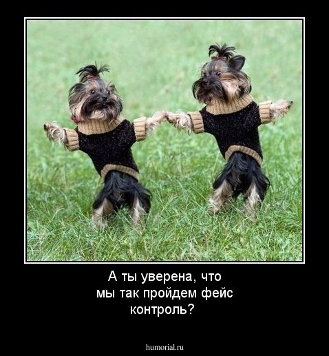 А ты уверена, что мы так пройдем фейс контроль?