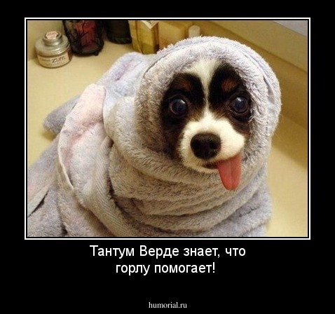 Тантум Верде знает, что горлу помогает!