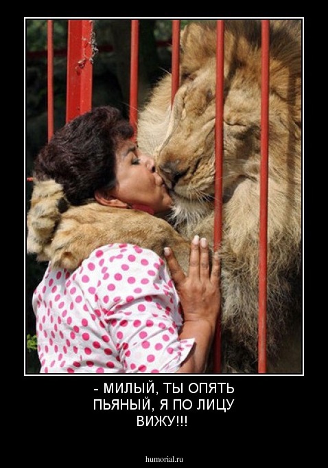 - МИЛЫЙ, ТЫ ОПЯТЬ ПЬЯНЫЙ, Я ПО ЛИЦУ ВИЖУ!!!