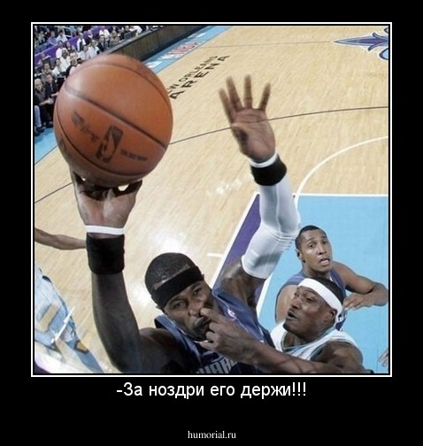 -За ноздри его держи!!!