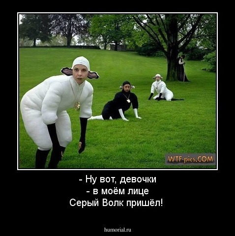 - Ну вот, девочки - в моём лице Серый Волк пришёл!
