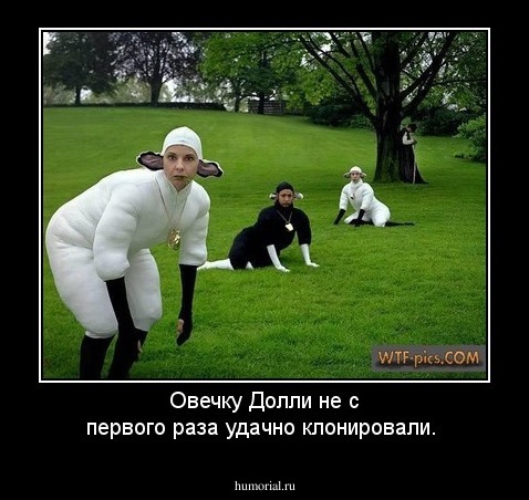 Овечку Долли не с первого раза удачно клонировали.