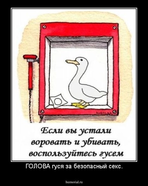 ГОЛОВА гуся за безопасный секс.