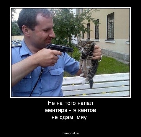 Не на того напал ментяра - я кентов не сдам, мяу.