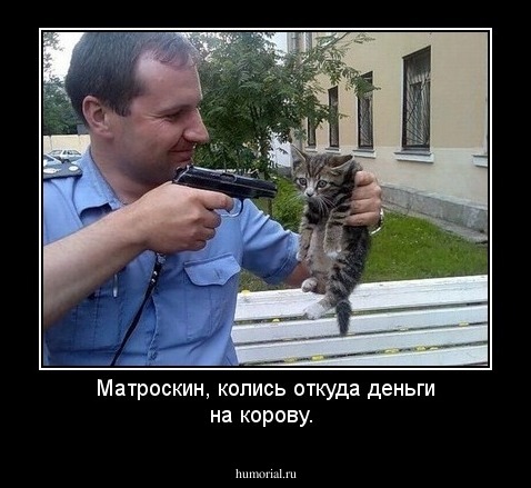 Матроскин, колись откуда деньги на корову.