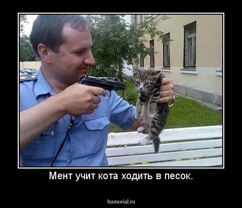 Мент учит кота ходить в песок.