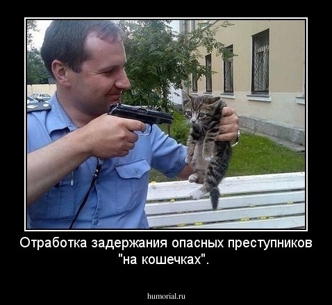 Отработка задержания опасных преступников "на кошечках".