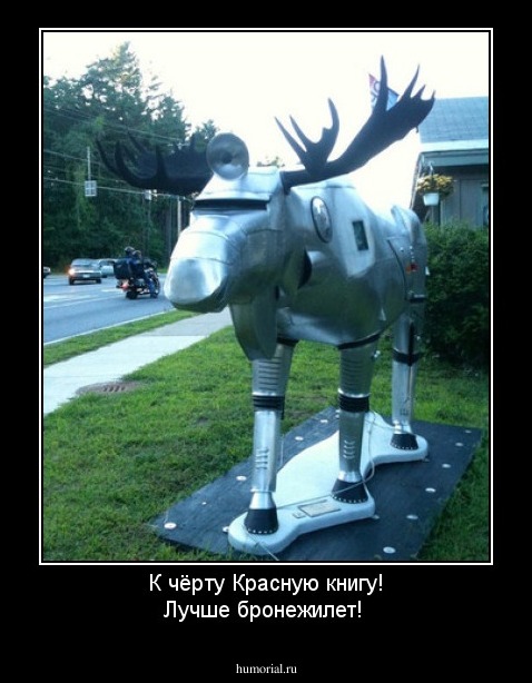 К чёрту Красную книгу! Лучше бронежилет!