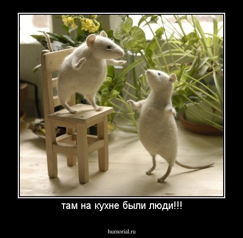 там на кухне были люди!!!