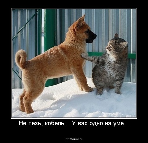 Не лезь, кобель... У вас одно на уме...