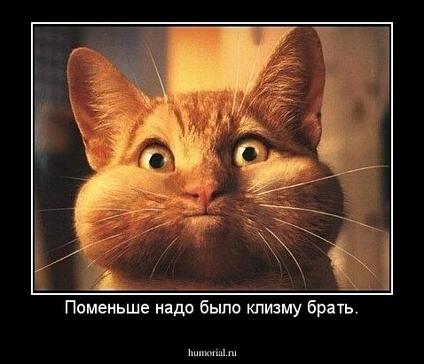 Поменьше надо было клизму брать.