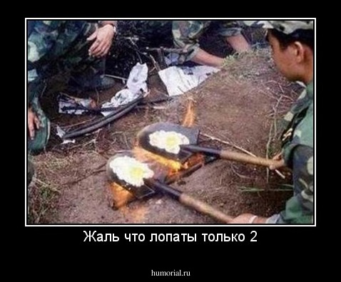 Жаль что лопаты только 2