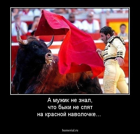 А мужик не знал, что быки не спят на красной наволочке... 