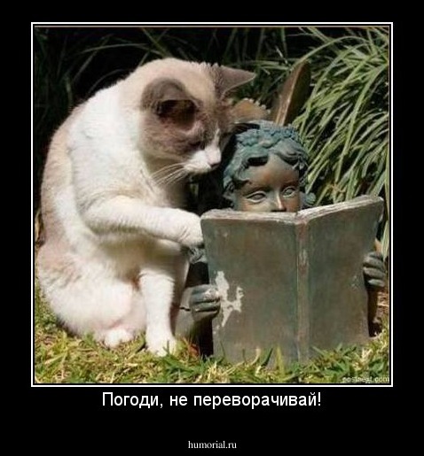 Погоди, не переворачивай!