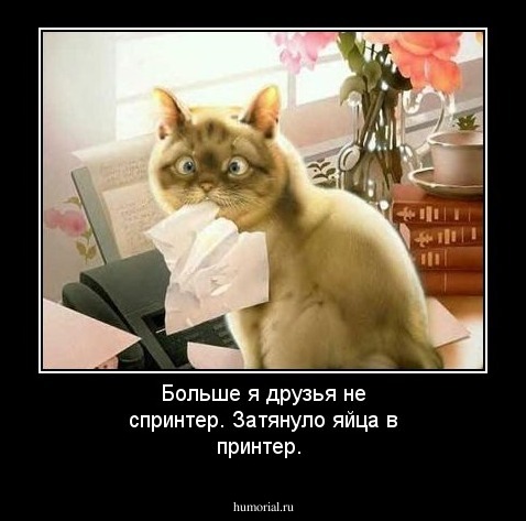 Больше я друзья не спринтер. Затянуло яйца в принтер.